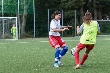 Bild 115 - C-Juniorinnen HSV - Walddoerfer : Ergebnis: 9:1